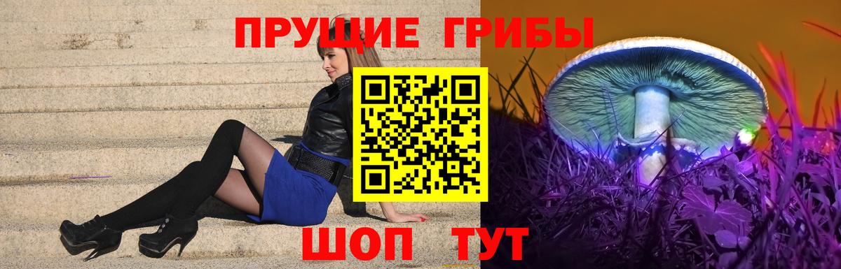 Галлюциногенные грибы MAGIC MUSHROOMS  Вход с VPN  Красноярск 